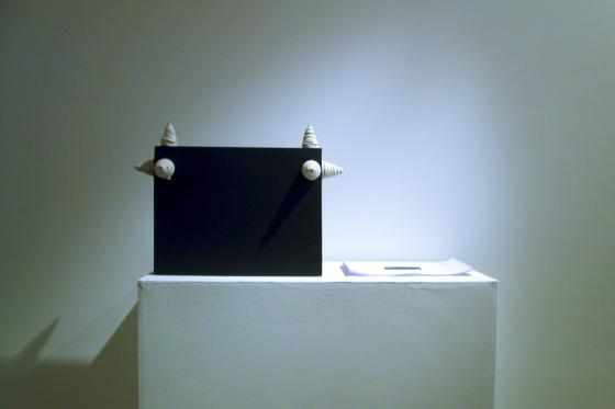 Andrei Monastyrski. Earthworks