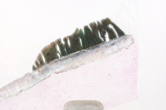 Evgeni Dybsky. Paintings. 2004-2005