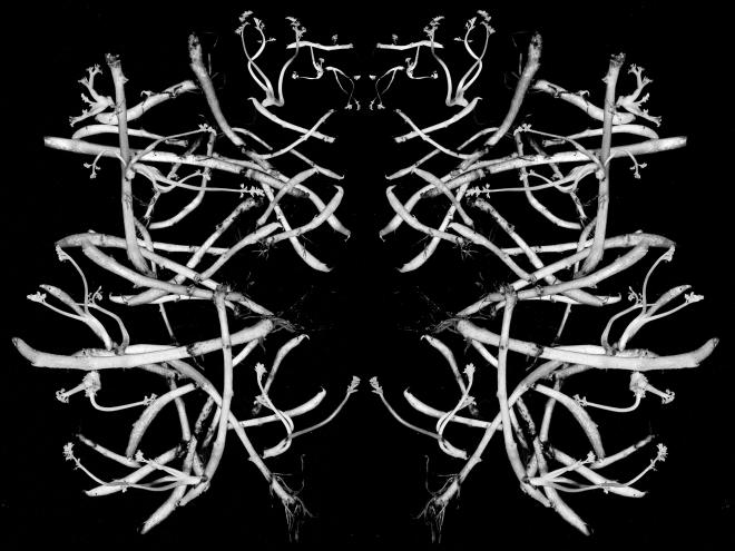 Их неудержимо клонило в сон